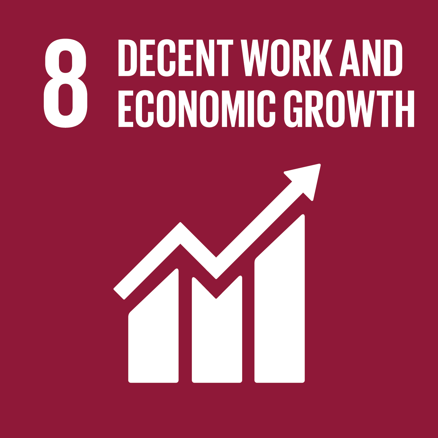 SDG 8: Eerlijk werk & economische groei
